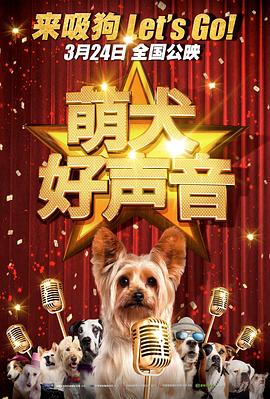 骚老师